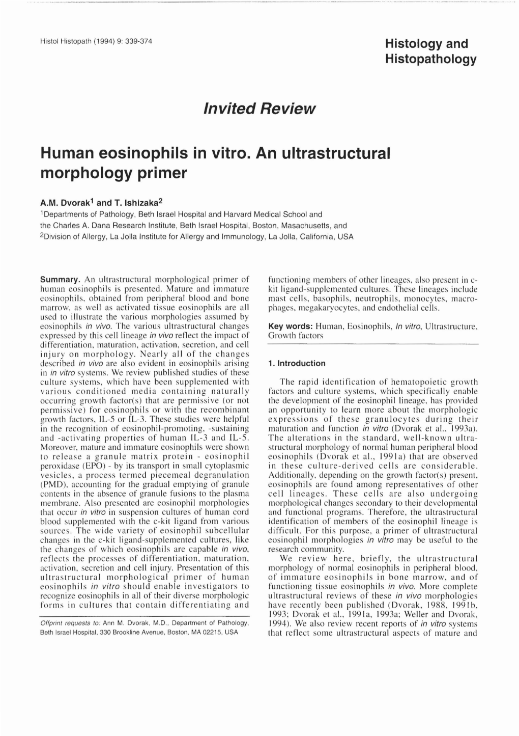 Human Eosinophils in Vitro. an Ultrastructural Morphology Primer