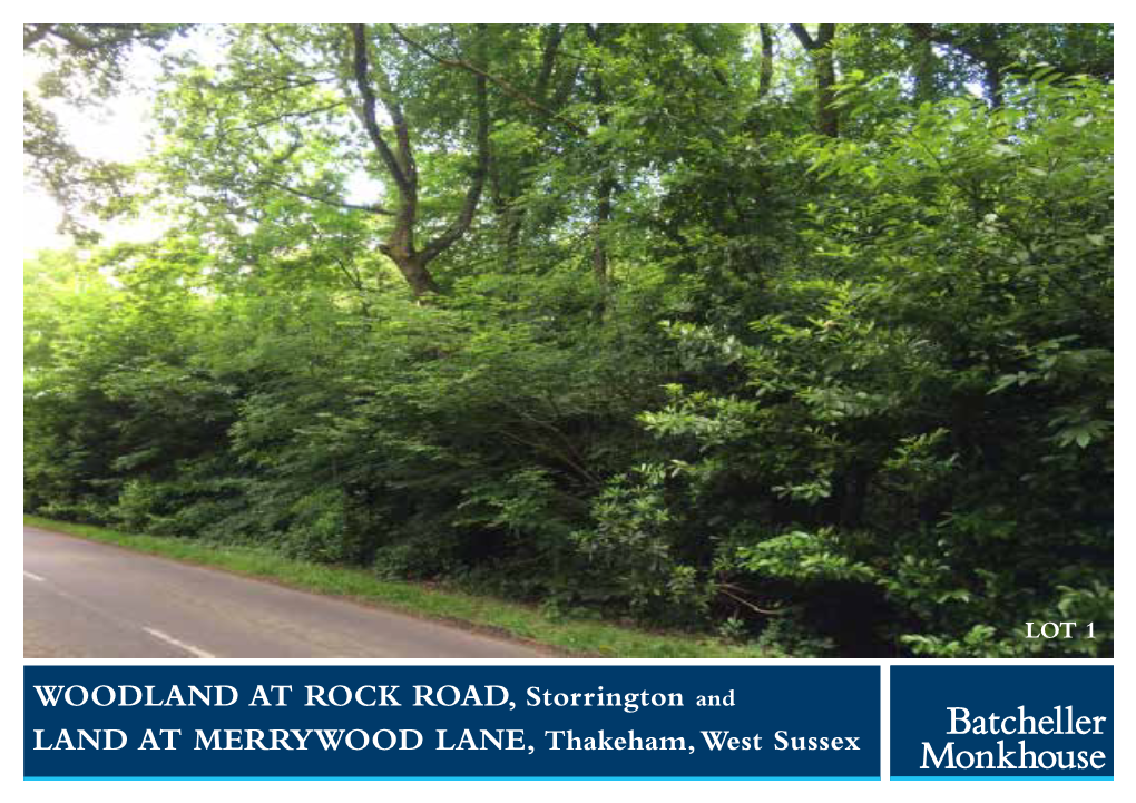 WOODLAND at ROCK ROAD Storrington, West Sussex, RH20