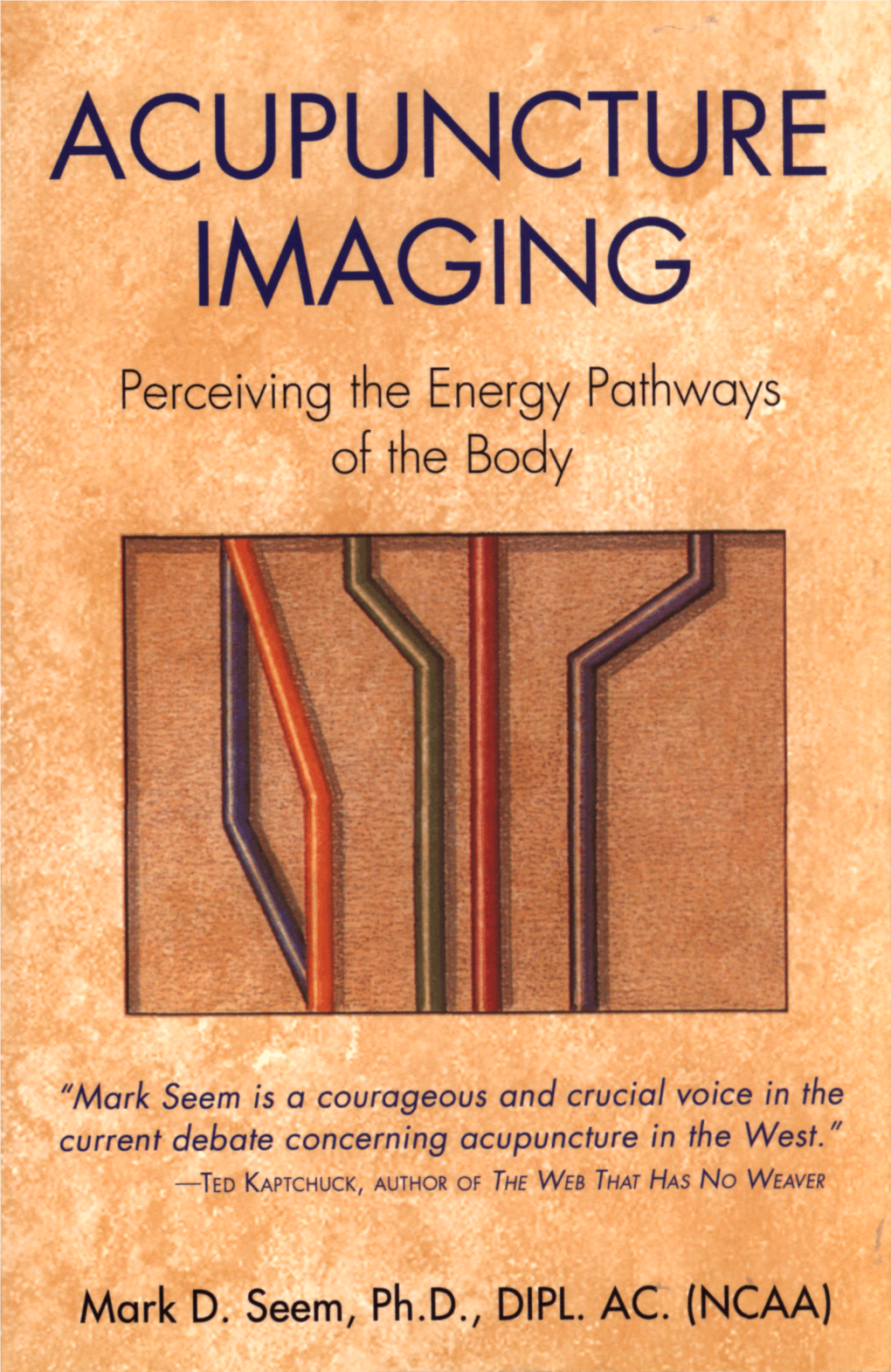 ACUPUNCTURE IMAGING Perceivi Ng the Energy Pathways of the Boay