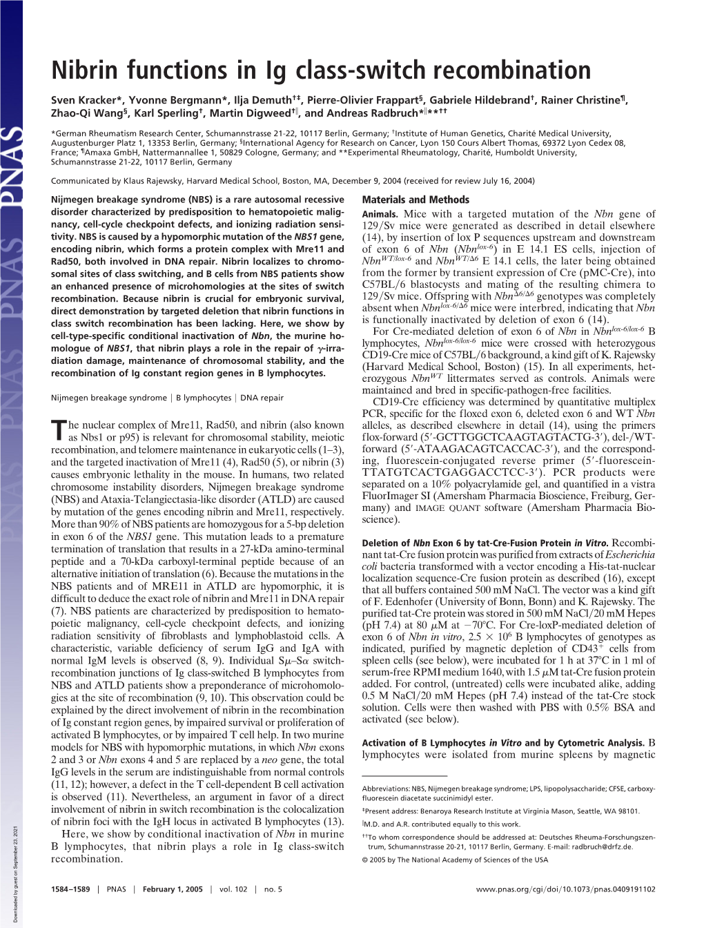 Nibrin Functions in Ig Class-Switch Recombination