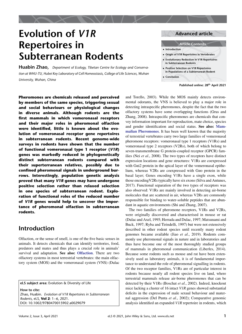 Evolution of V1R Repertoires in Subterranean Rodents