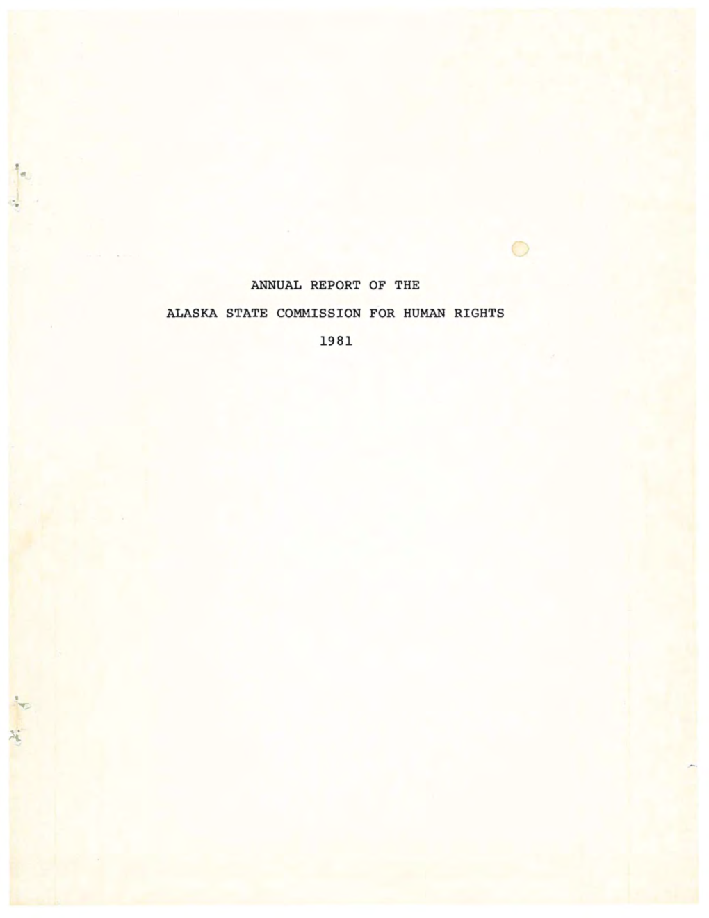 1981 Annual Report