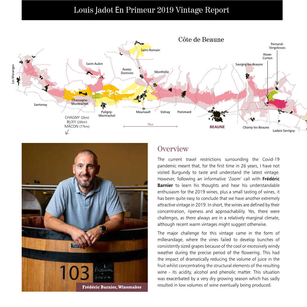 Louis Jadot En Primeur 2019 Vintage Report