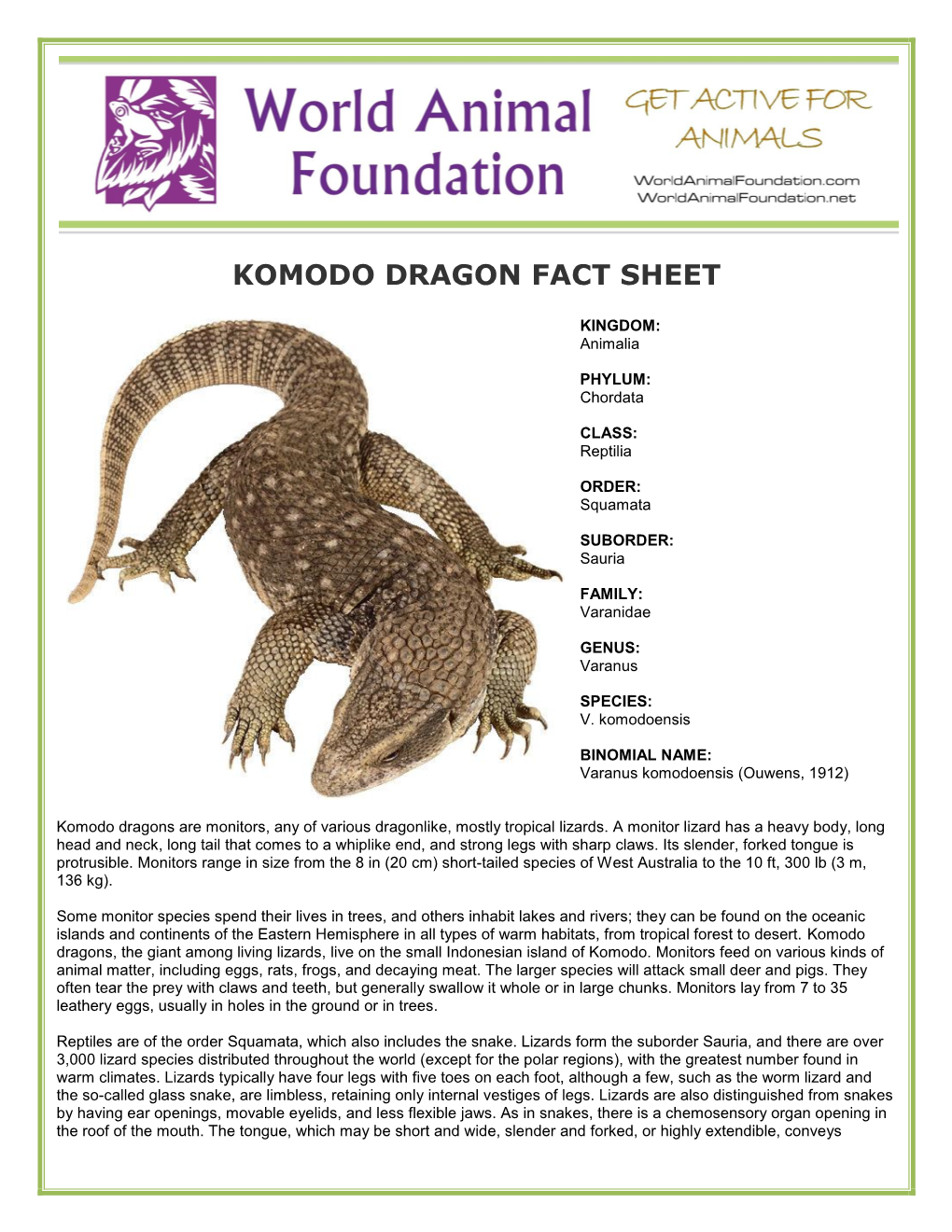 Komodo Dragon Fact Sheet