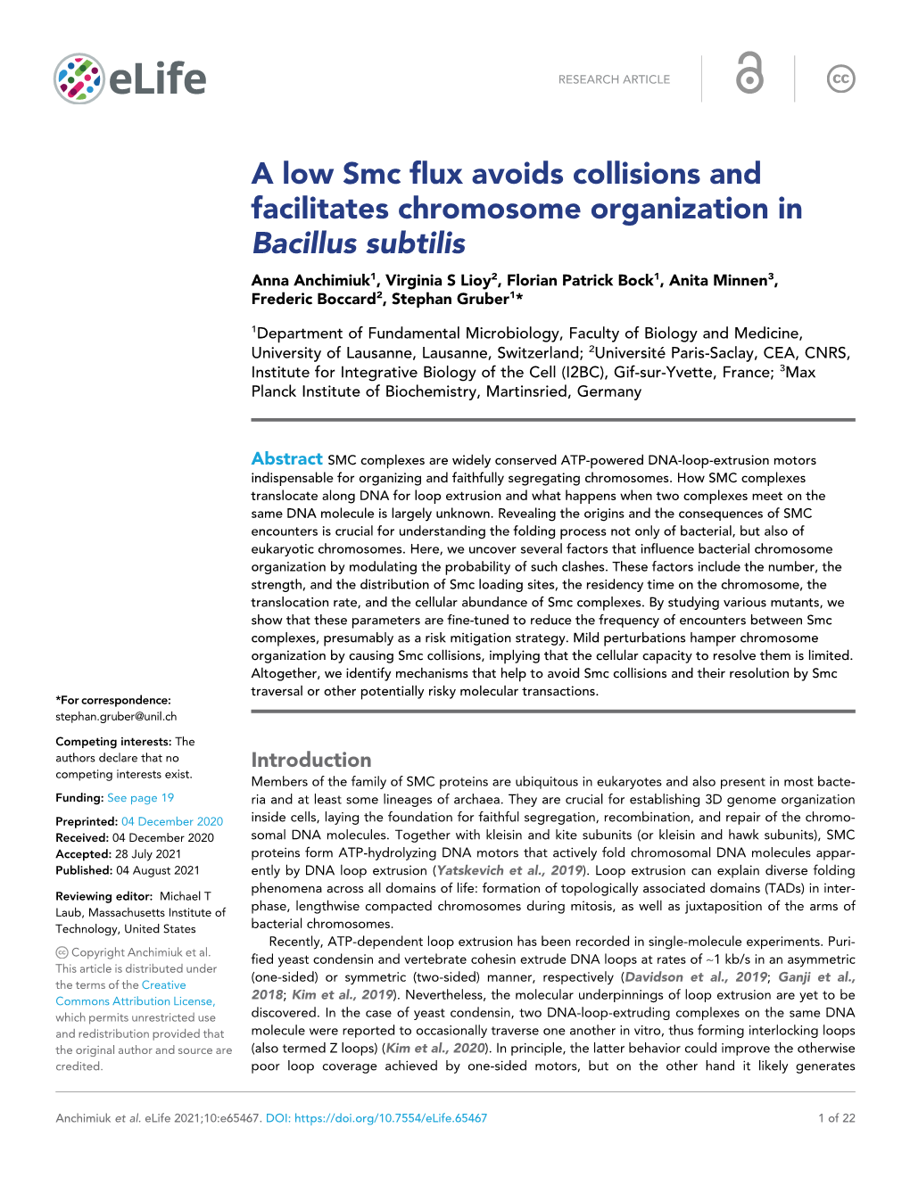 A Low Smc Flux Avoids Collisions and Facilitates Chromosome