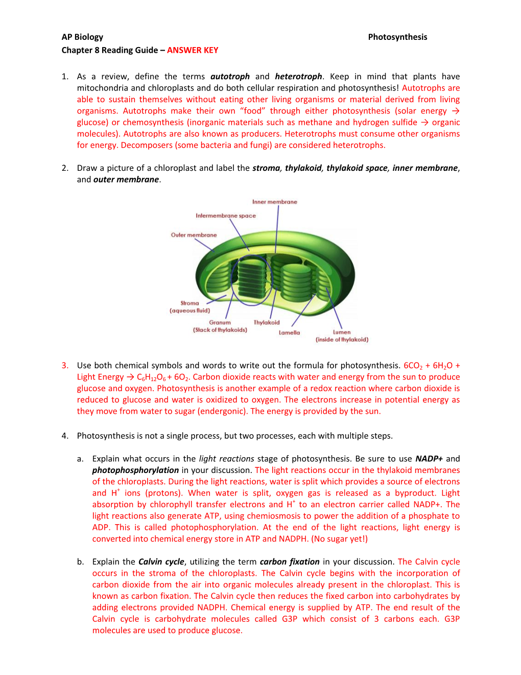 AP Biology Photosynthesis Chapter 8 Reading Guide – ANSWER KEY 1