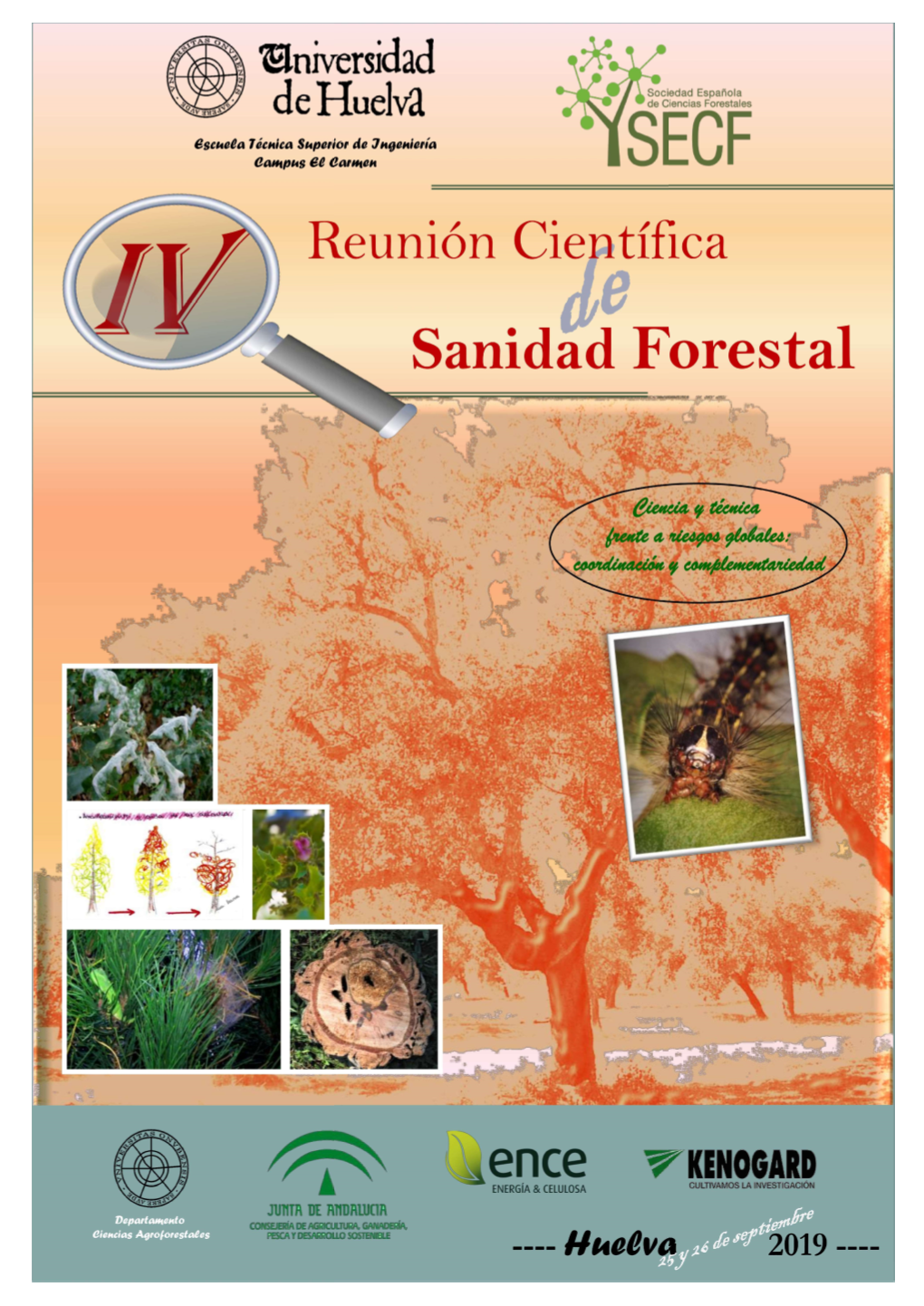 Libro Resumenes Sanidad Fore