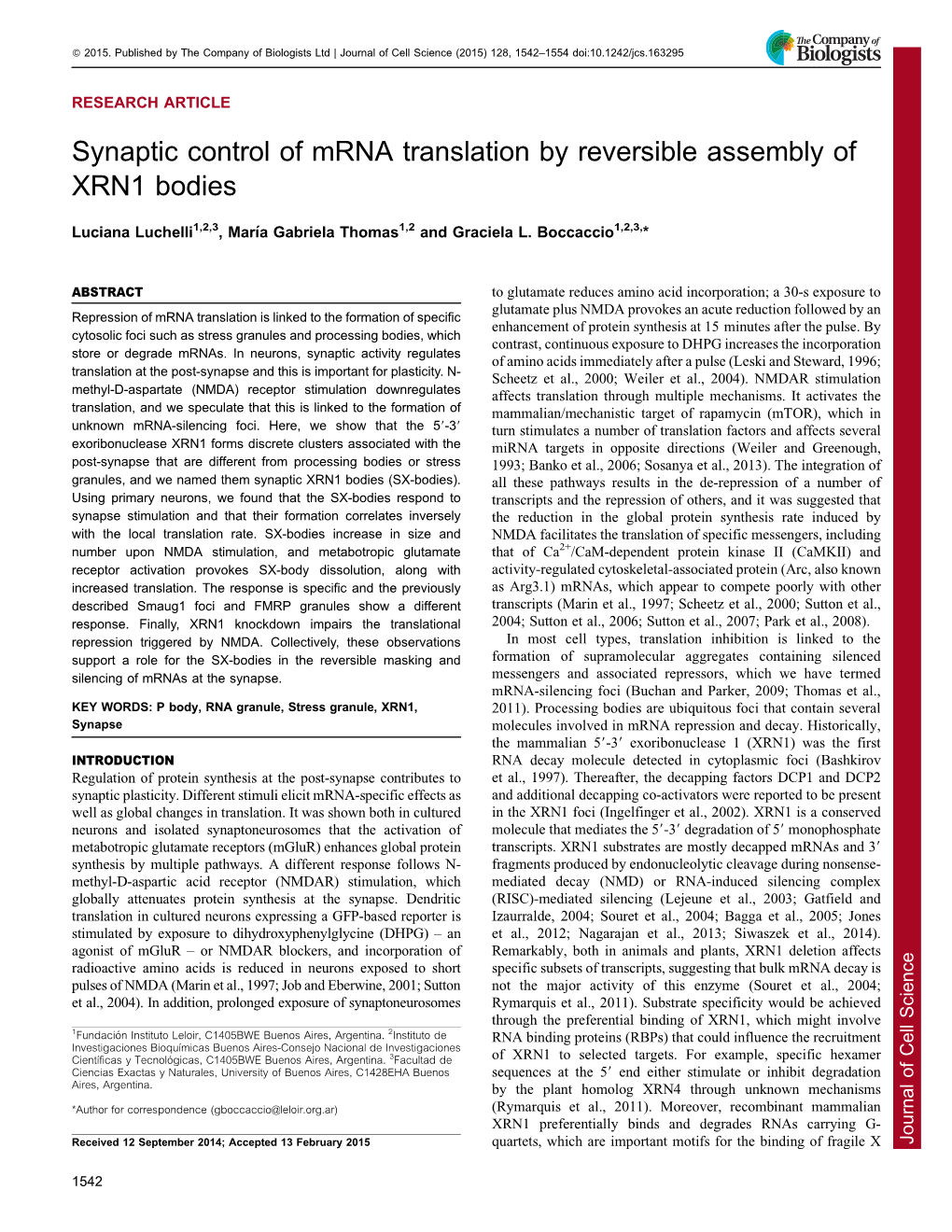 Synaptic Control of Mrna Translation by Reversible Assembly of XRN1 Bodies