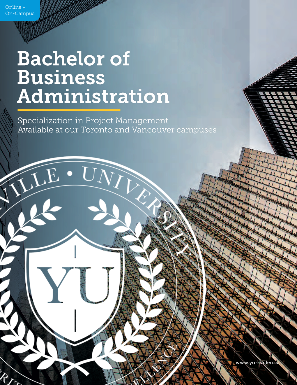 Bachelor of Business Administration