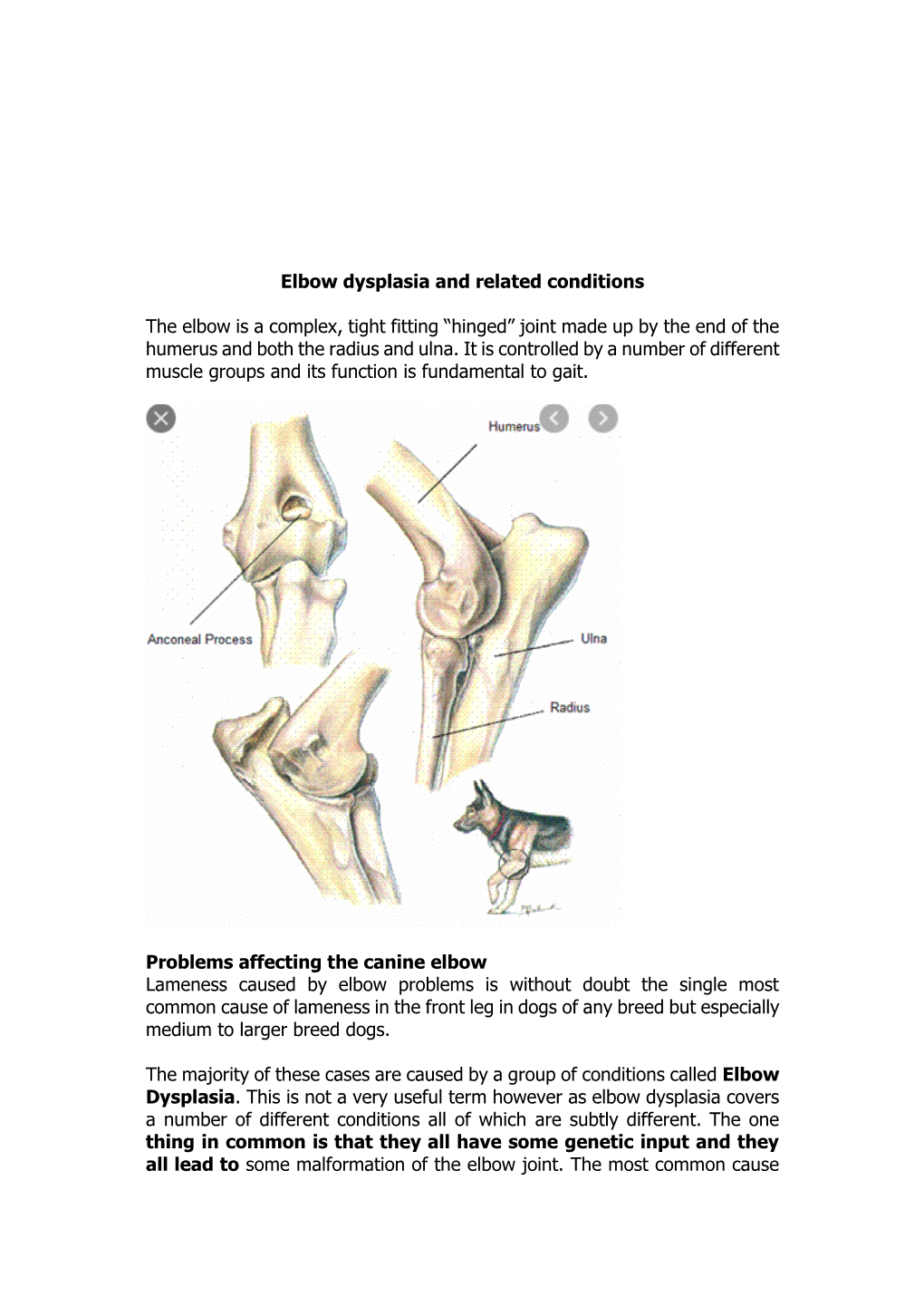 Elbow Dysplasia and Related Conditions
