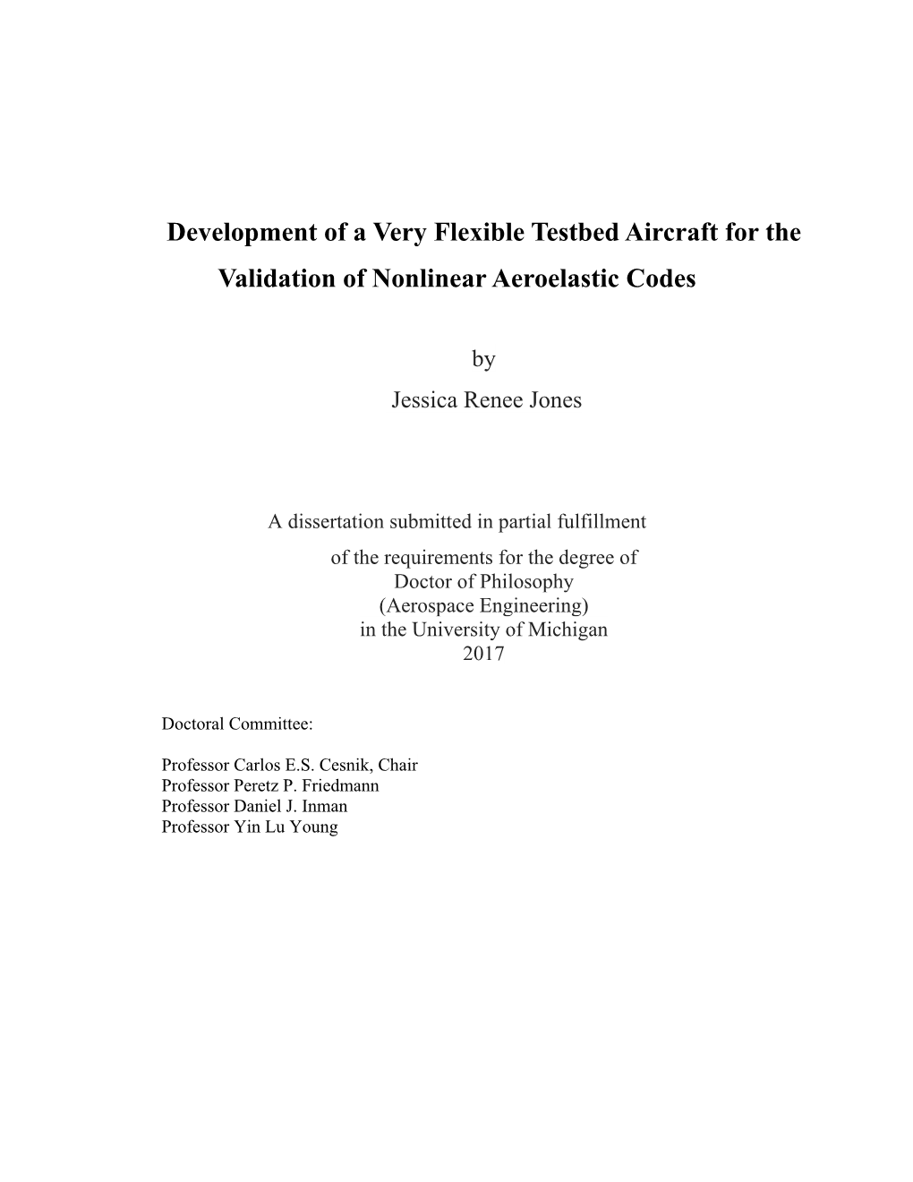 Development of a Very Flexible Testbed Aircraft for the Validation of Nonlinear Aeroelastic Codes