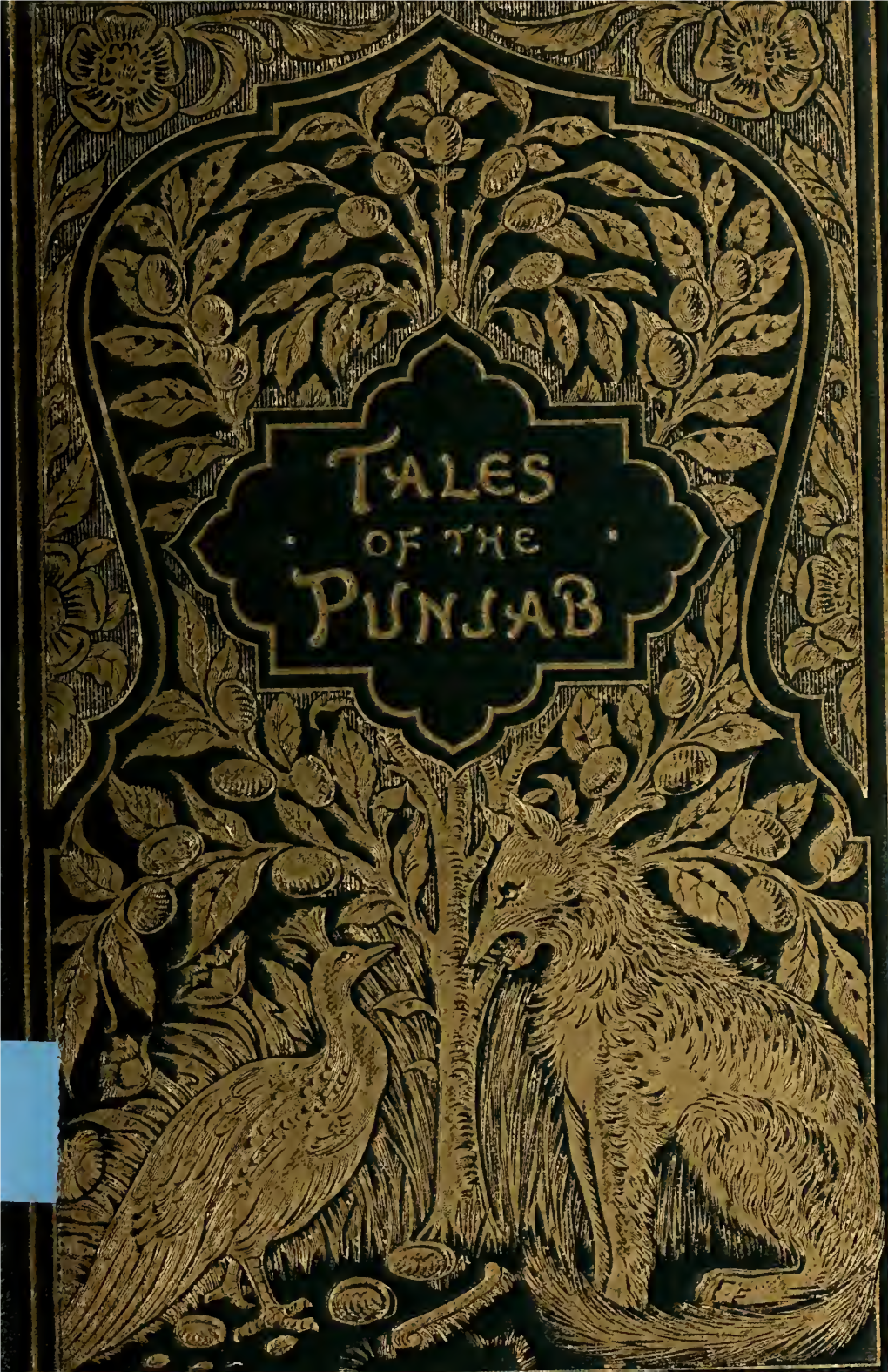 Tales of the Punjab Told by the People