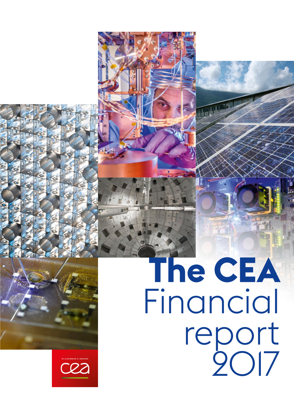 Financial Report CEA 2017