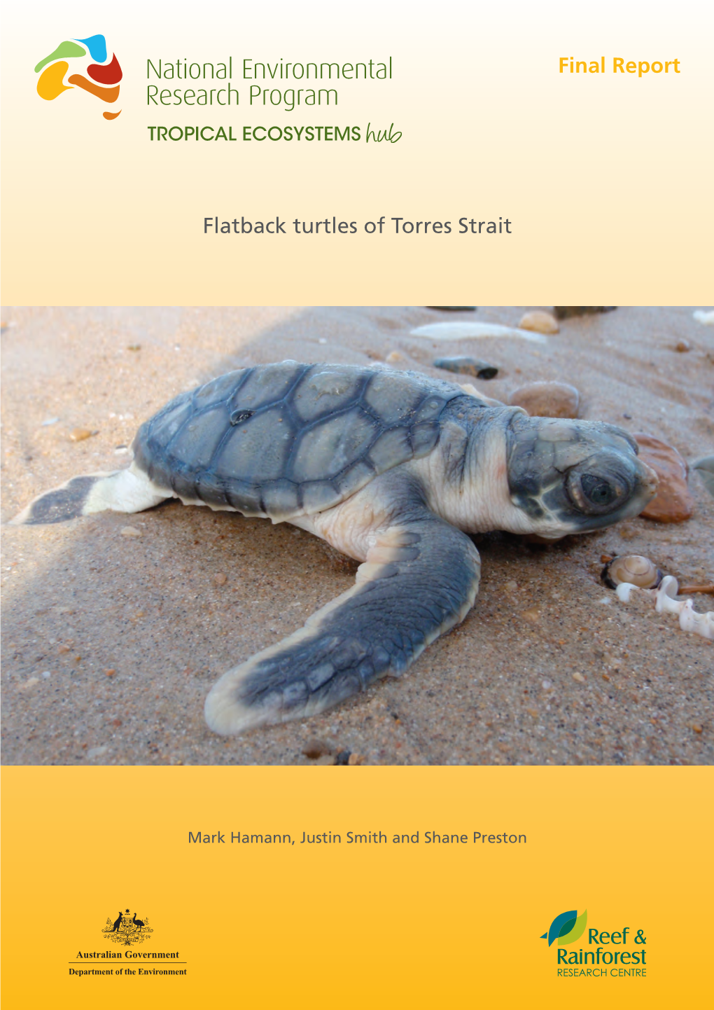 Flatback Turtles of Torres Strait