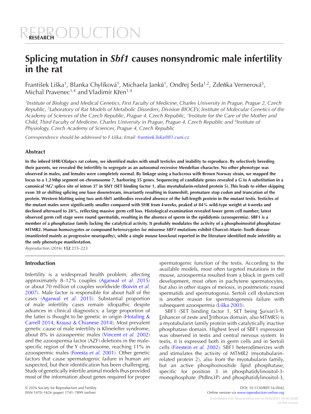 Splicing Mutation in Sbf1 Causes Nonsyndromic Male Infertility in the Rat