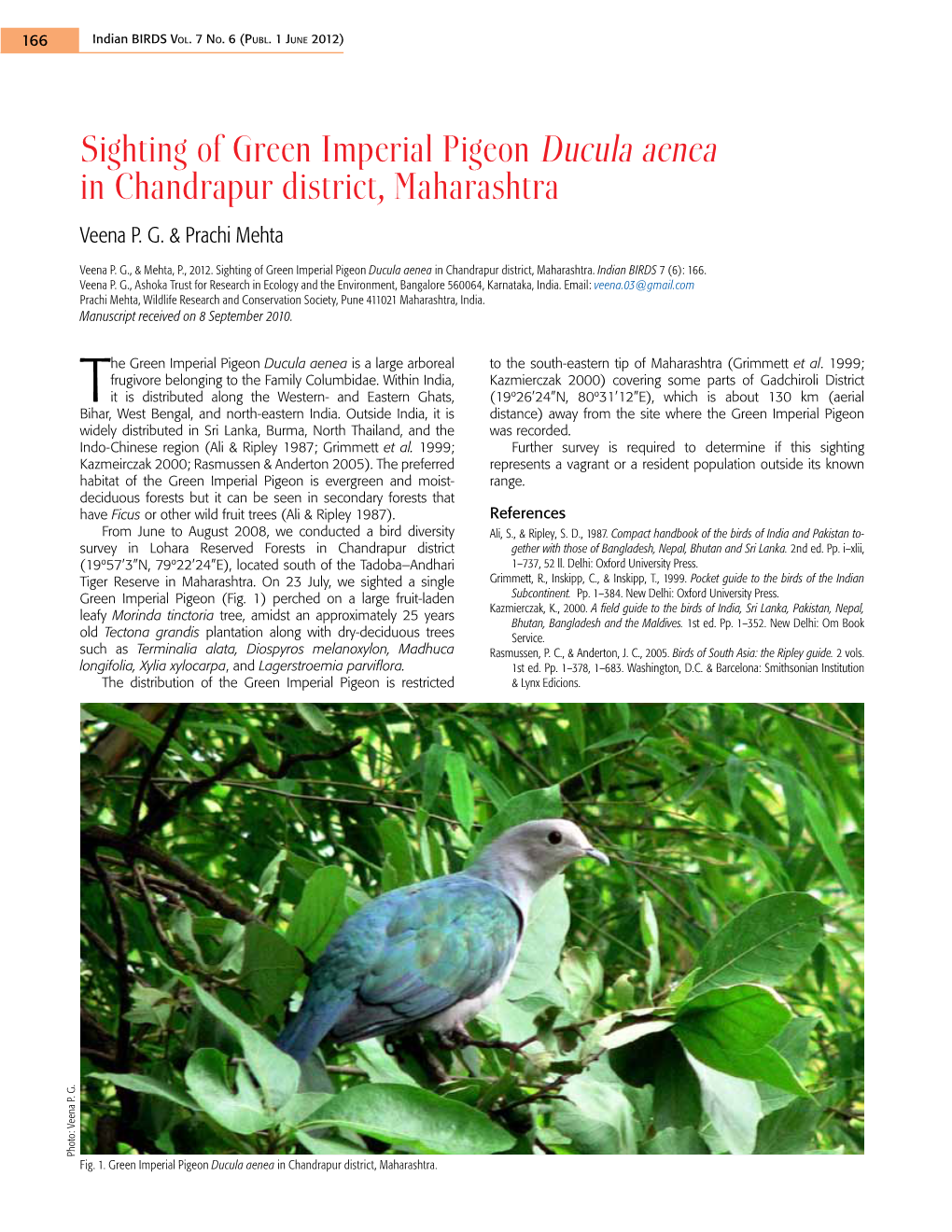 Sighting of Green Imperial Pigeon Ducula Aenea in Chandrapur District, Maharashtra Veena P