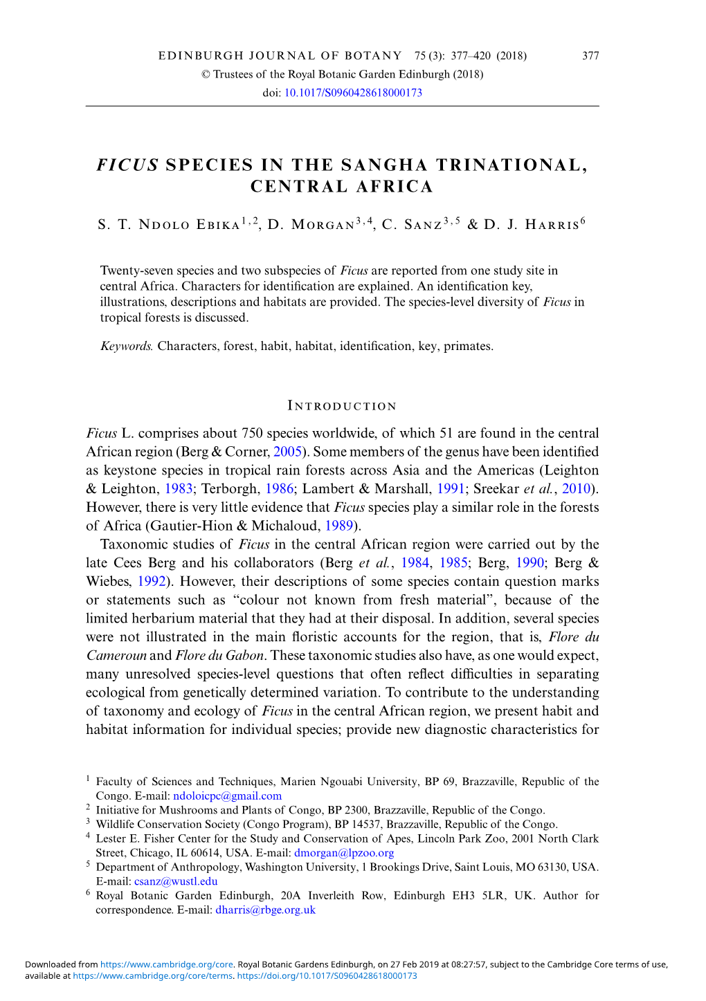 Ficus Species in the Sangha Trinational, Central Africa