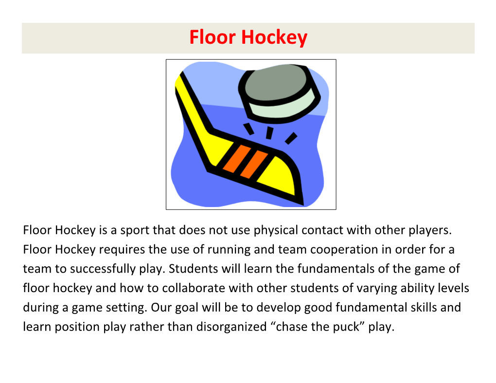 Floor Hockey