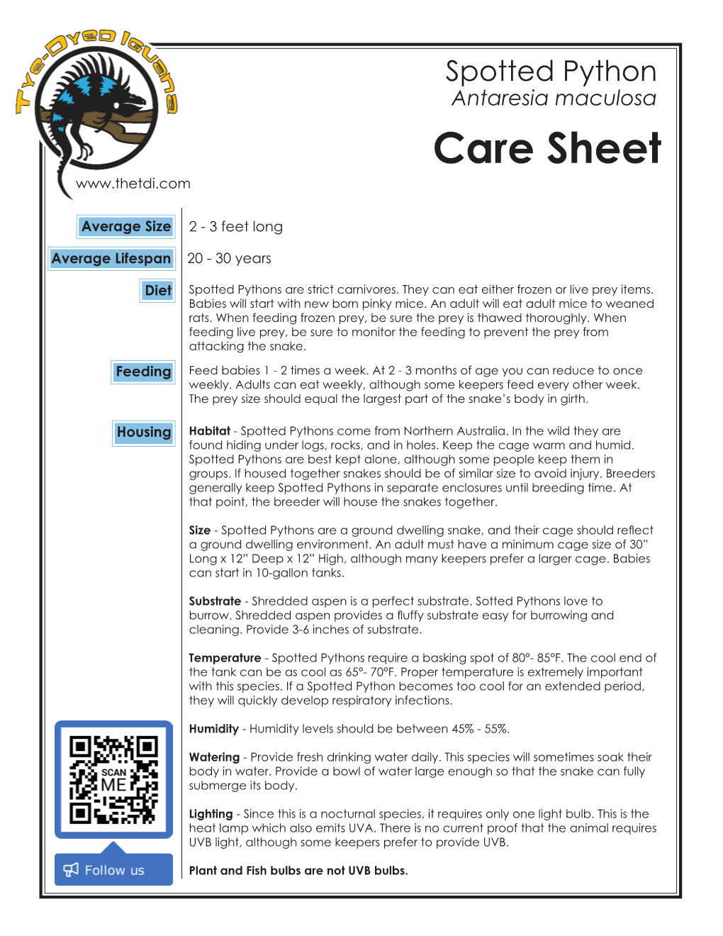 Spotted Python Antaresia Maculosa Care Sheet