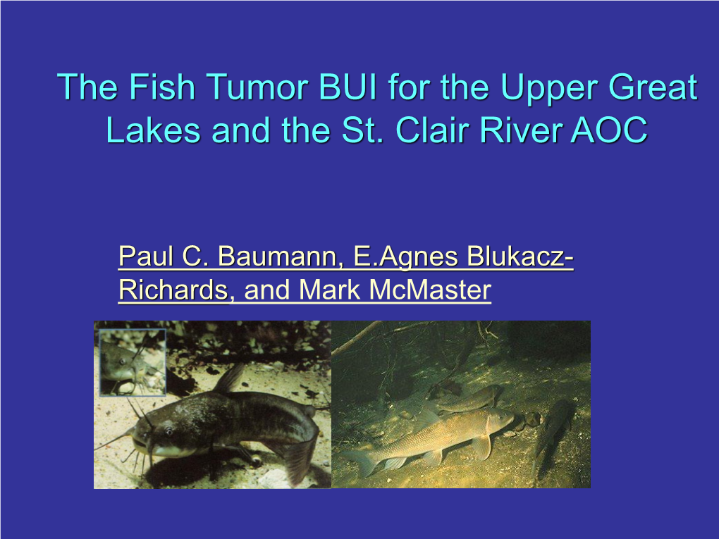 The Fish Tumor BUI for the Upper Great Lakes and the St. Clair River AOC