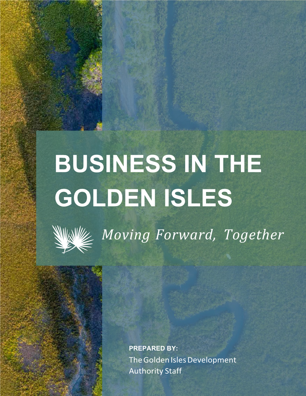 BUSINESS in the GOLDEN ISLES Moving Forward, Together