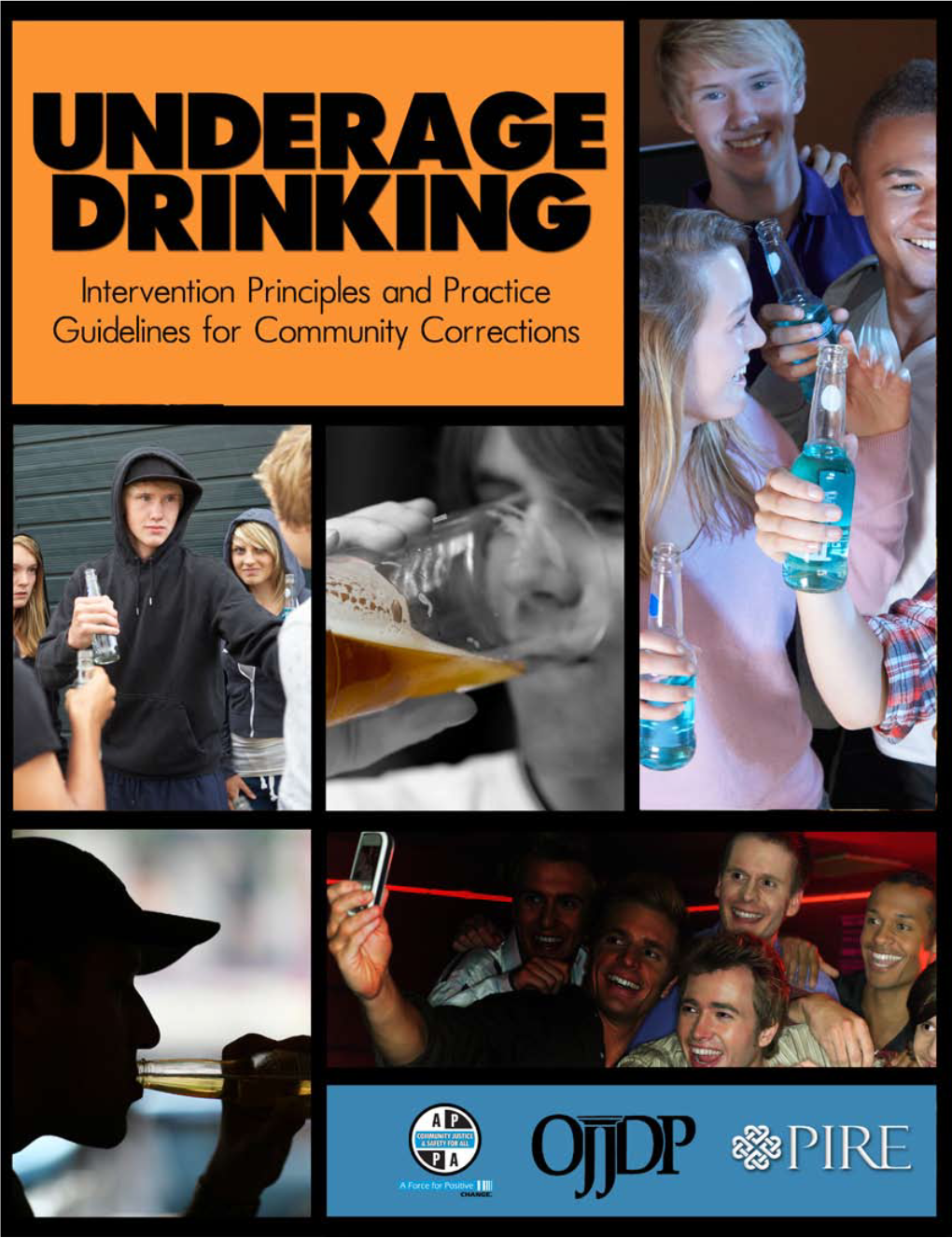 Underage Drinking Intervention Principles and Practice Guidelines for Community Correction