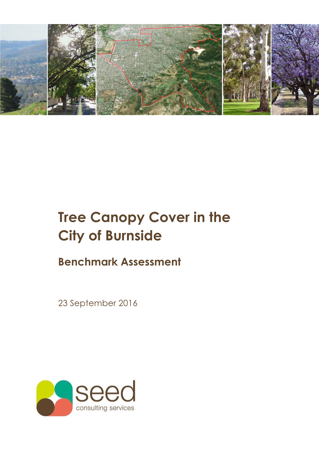 Tree Canopy Cover in the City of Burnside