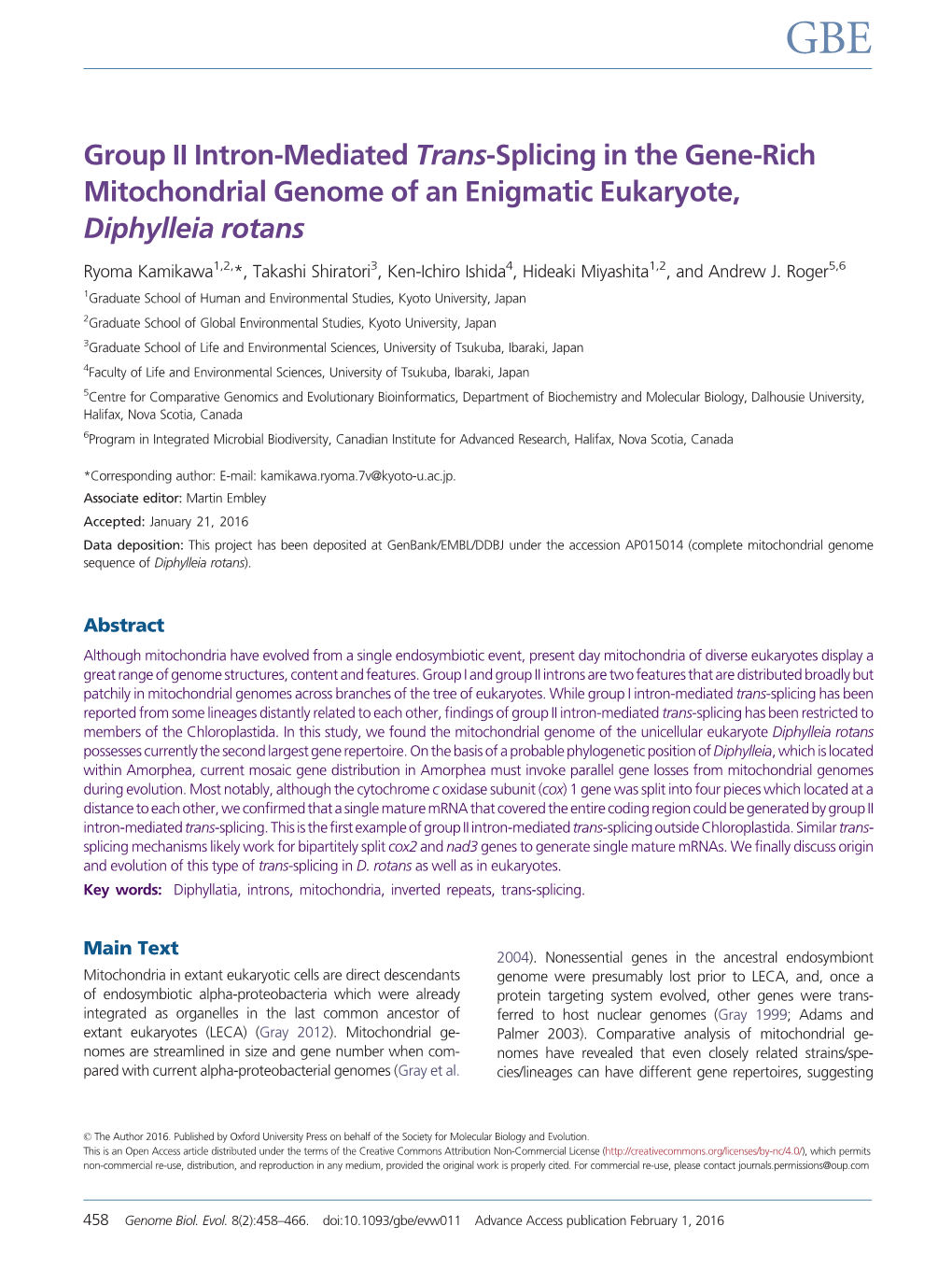 Group II Intron-Mediated Trans-Splicing in the Gene-Rich Mitochondrial Genome of an Enigmatic Eukaryote, Diphylleia Rotans