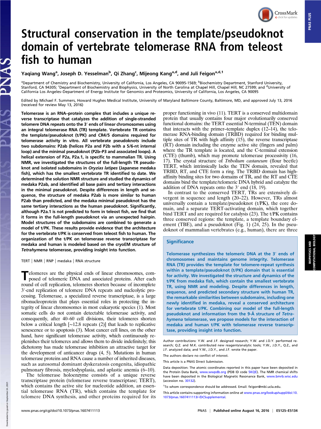 Structural Conservation in the Template/Pseudoknot Domain of Vertebrate