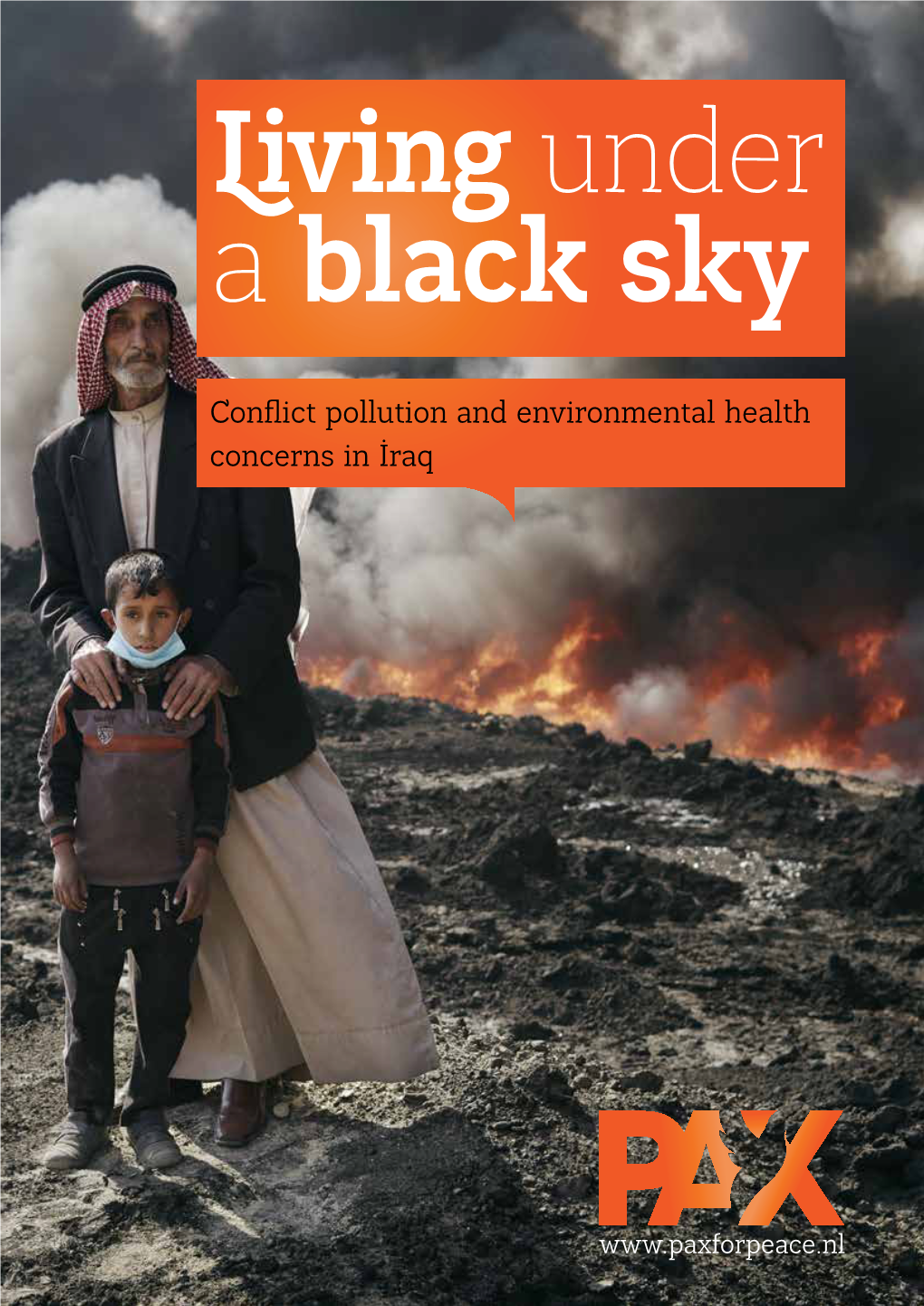 Conflict Pollution and Environmental Health Concerns in Iraq