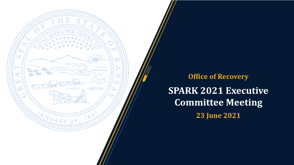 SPARK 2021 Executive Committee Meeting June 23 2021