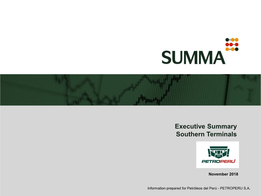 Executive Summary Southern Terminals