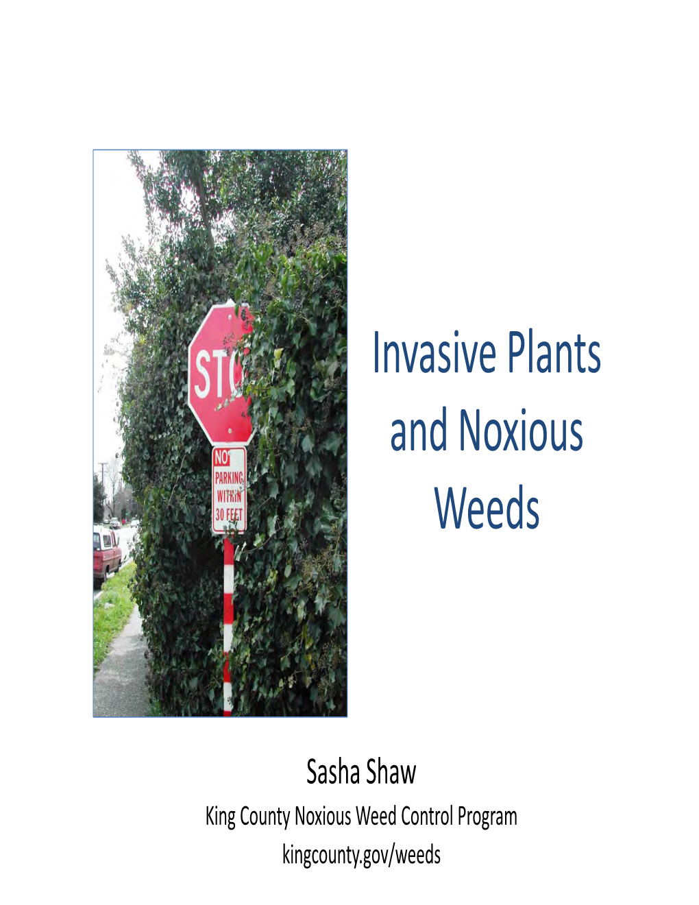 Invasive Plants and Noxious Weeds