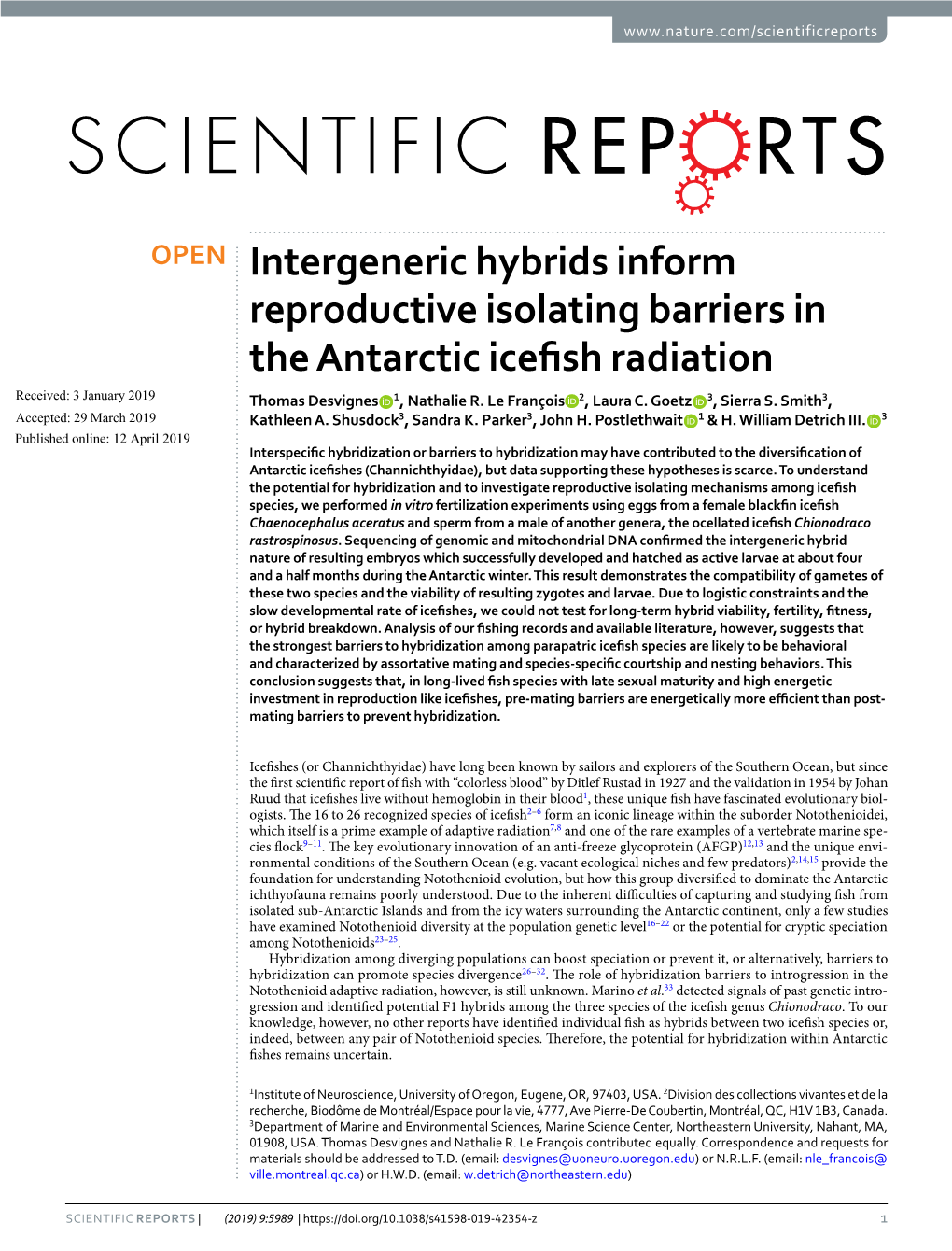 Intergeneric Hybrids Inform Reproductive Isolating Barriers in the Antarctic Icefsh Radiation Received: 3 January 2019 Thomas Desvignes 1, Nathalie R