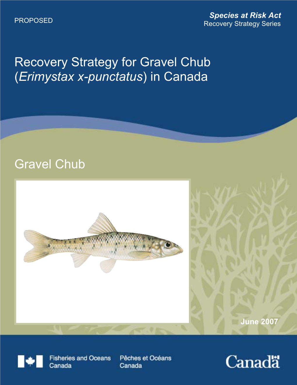Proposed Recovery Strategy for Gravel Chub (Erimystax X-Punctatus)