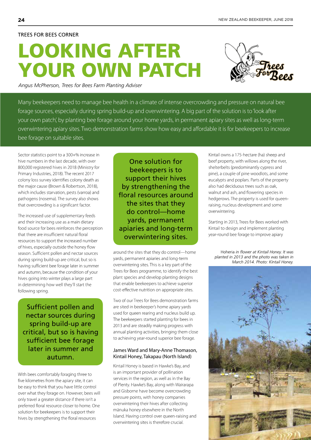 LOOKING AFTER YOUR OWN PATCH Angus Mcpherson, Trees for Bees Farm Planting Adviser
