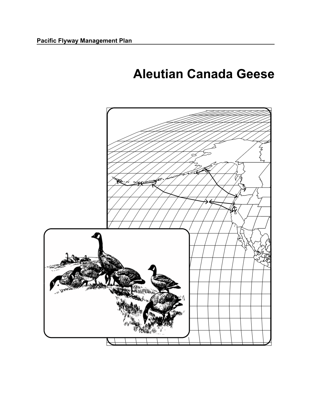 Aleutian Canada Goose Plan