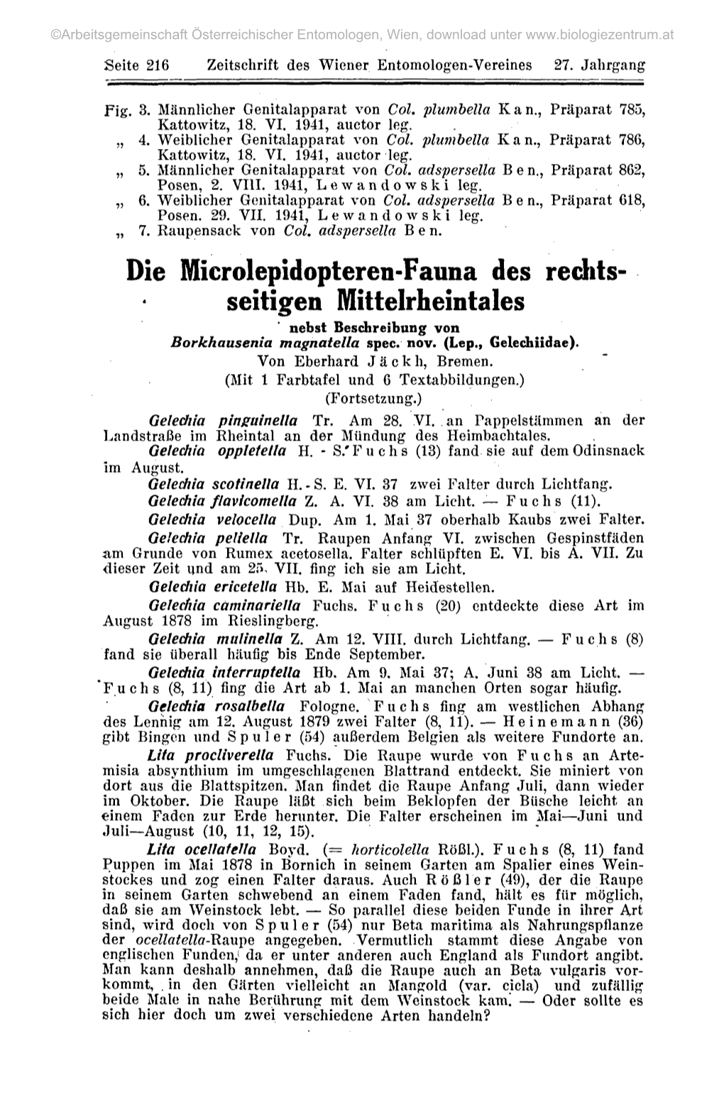 Die Microlepidopteren-Fauna Des Rechts- Seitigen Mittelrheintales Nebst Beschreibung Von Borkhausenia Magnatella Spec