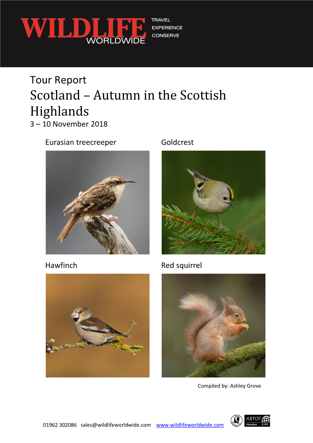 Scotland – Autumn in the Scottish Highlands 3 – 10 November 2018