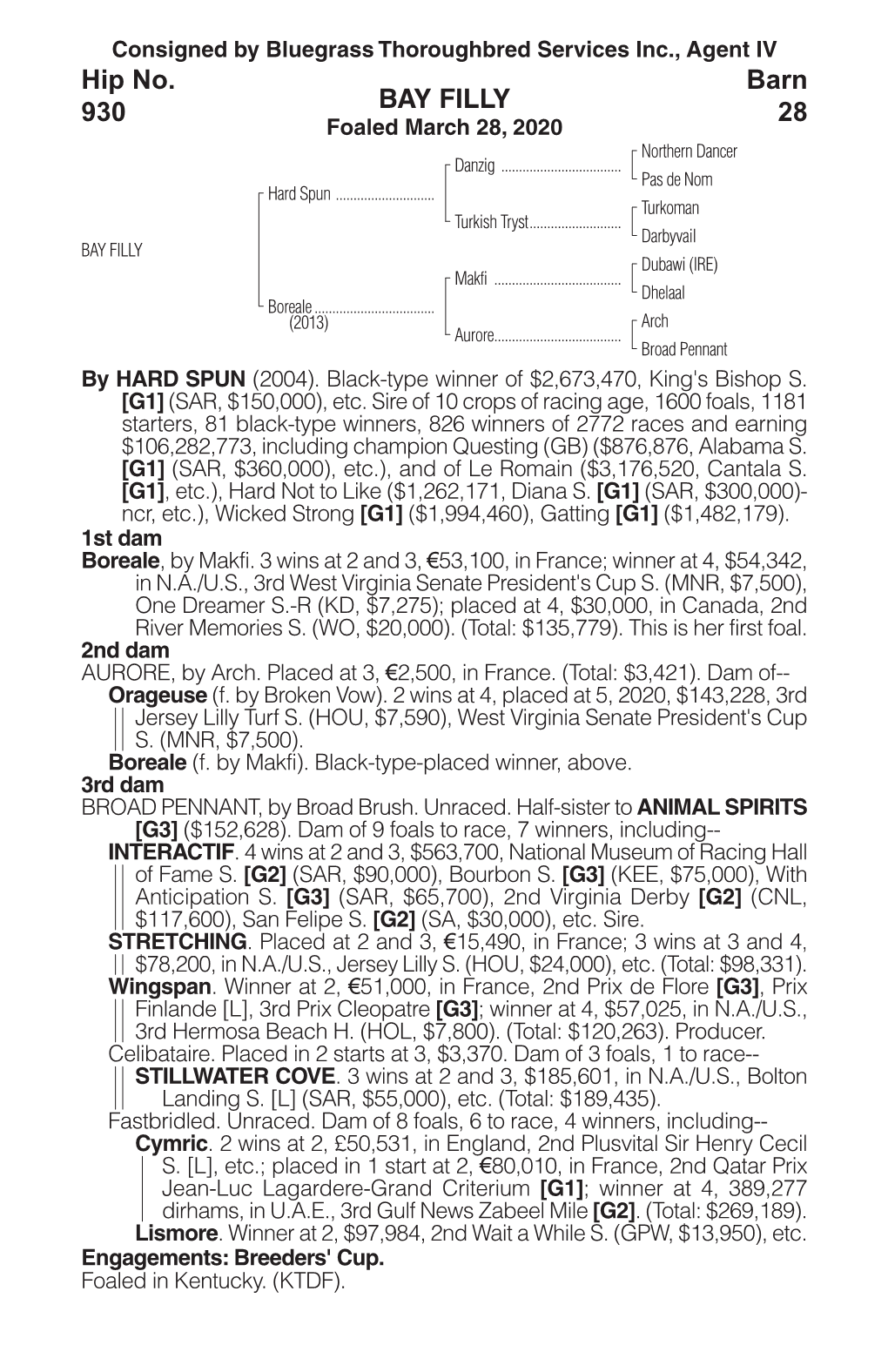 BAY FILLY Barn 28 Hip No