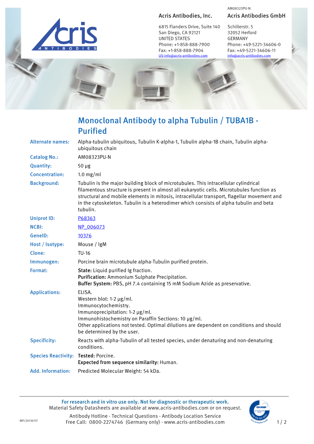 Monoclonal Antibody to Alpha Tubulin / TUBA1B