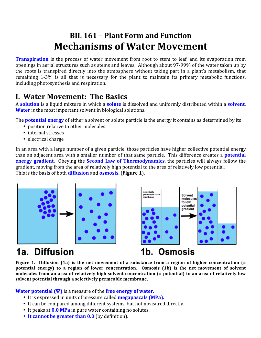 Transpiration: Water Movement Through Vascular Plants