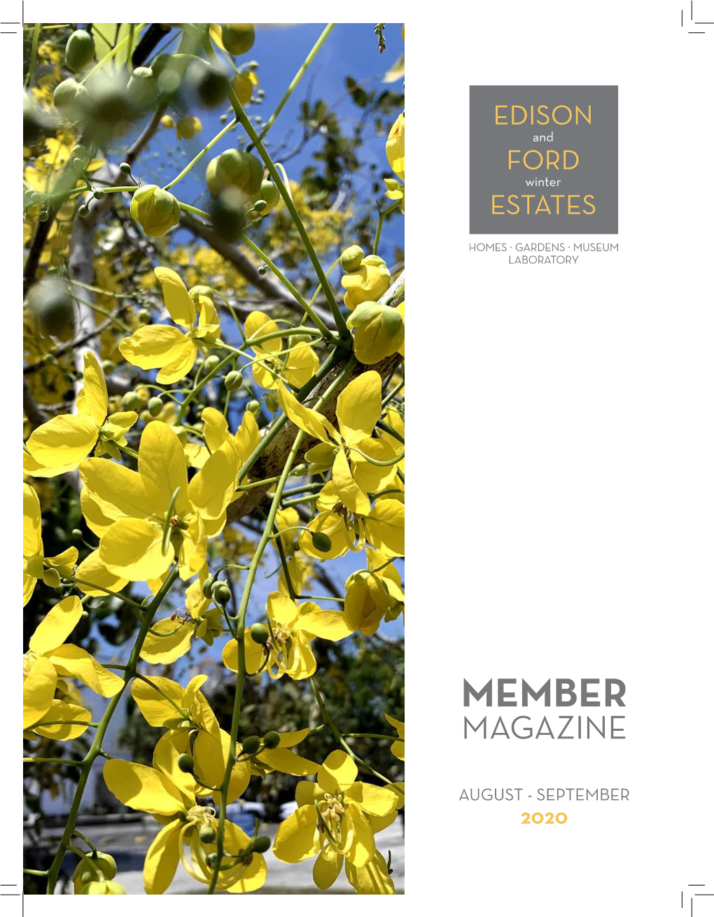 Member Magazine