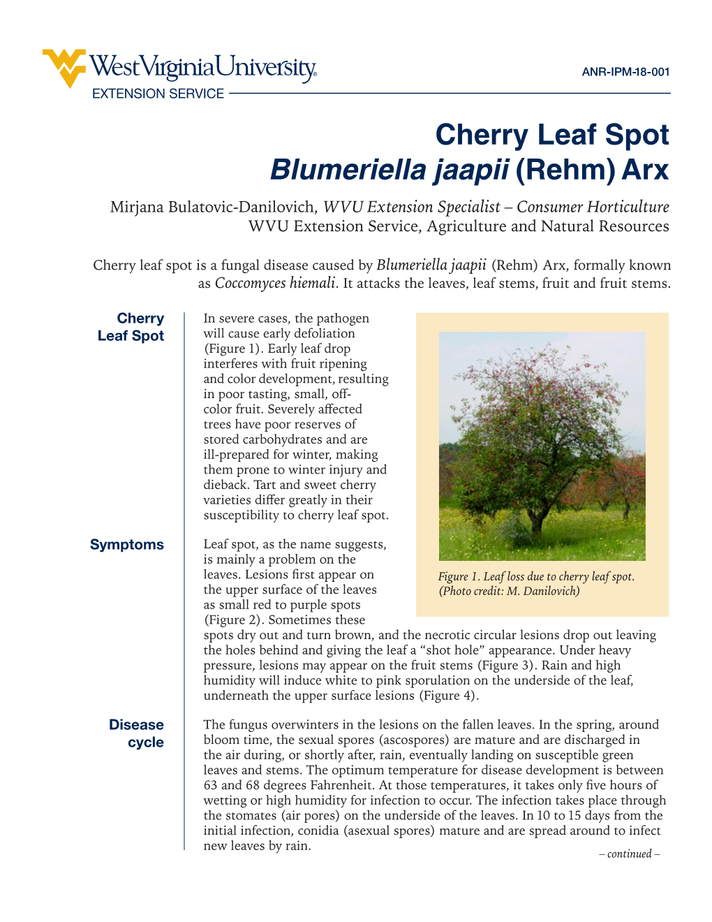 Download a Pdf.On Cherry Leaf Spot