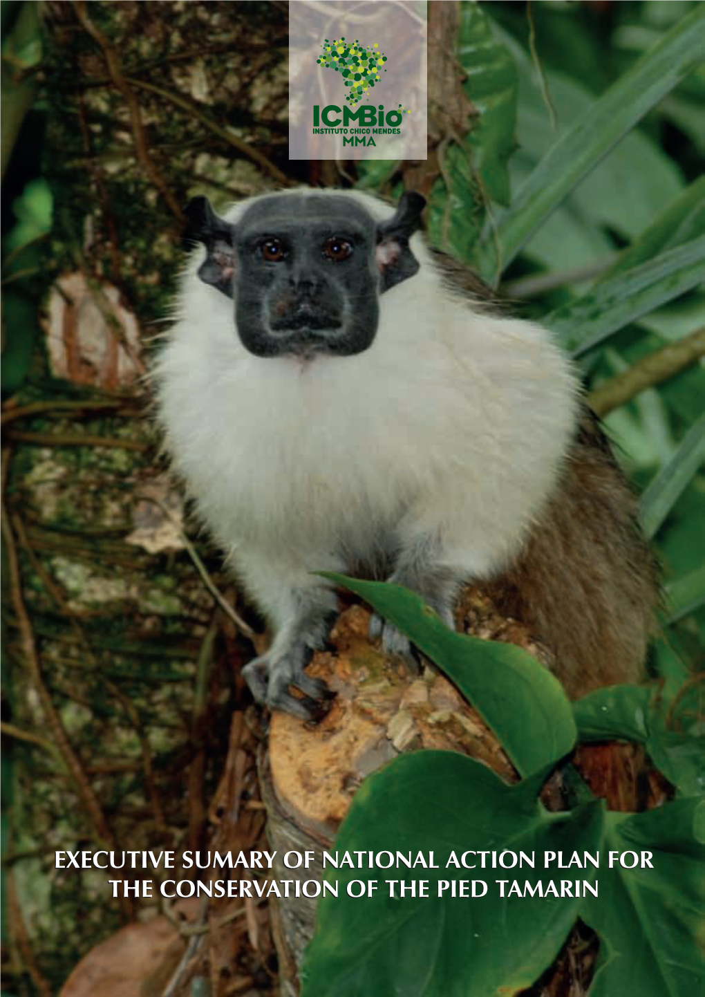 Strategy of the Chico Mendes Institute for the Conservation of the Pied Tamarin