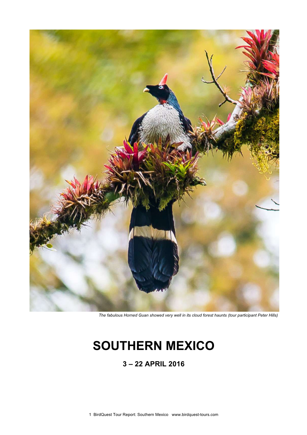 Southern Mexico