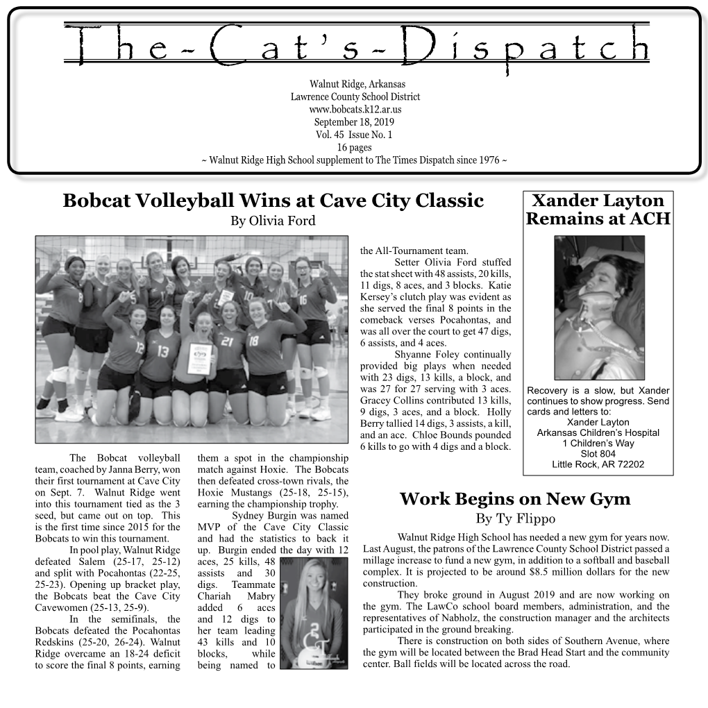 The-Cat's-Dispatch