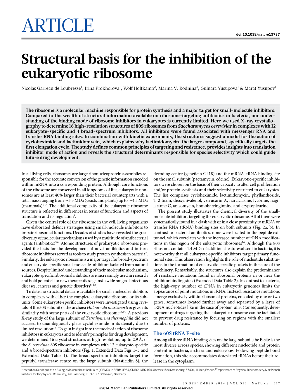 Structural Basis for the Inhibition of the Eukaryotic Ribosome