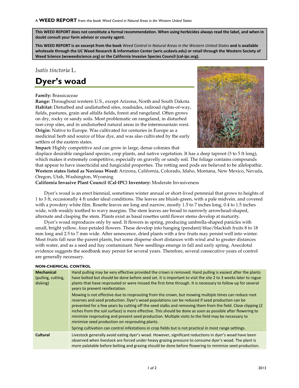 Dyer's Woad Populations Can Be Reduced If Seed Production Can Be Prevented for a Few Years by Cutting Off the Seed Stalks and Removing Them from the Field