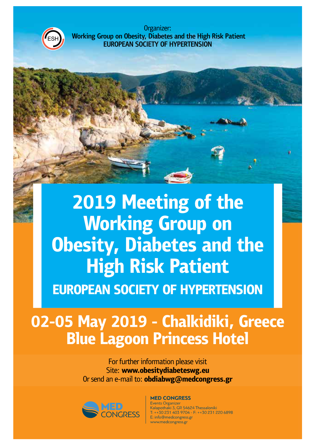 2019 Meeting of the Working Group on Obesity, Diabetes and the High